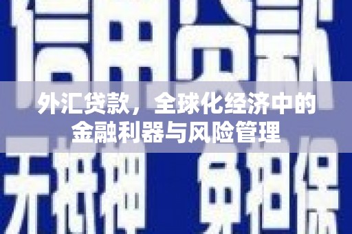旗津外汇贷款，全球化经济中的金融利器与风险管理