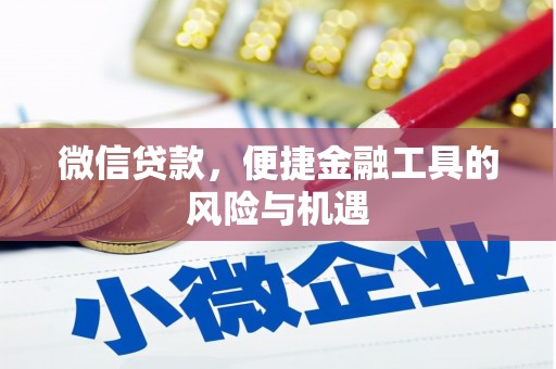 旗津微信贷款，便捷金融工具的风险与机遇
