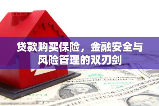 旗津贷款购买保险，金融安全与风险管理的双刃剑