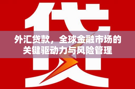 旗津外汇贷款，全球金融市场的关键驱动力与风险管理