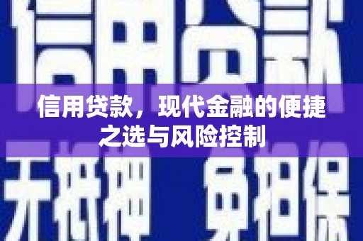 旗津信用贷款，现代金融的便捷之选与风险控制