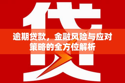旗津逾期贷款，金融风险与应对策略的全方位解析