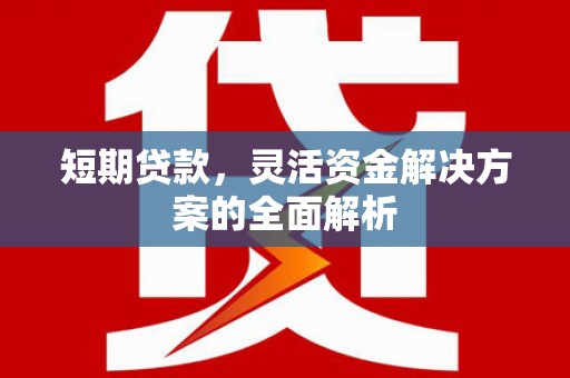 旗津短期贷款，灵活资金解决方案的全面解析