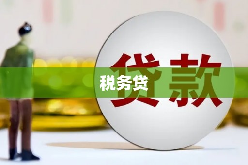旗津税务贷