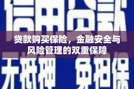 旗津贷款购买保险，金融安全与风险管理的双重保障