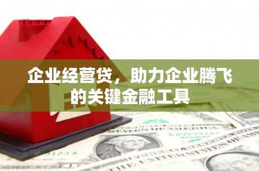 旗津企业经营贷，助力企业腾飞的关键金融工具