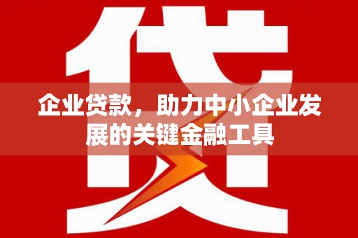 旗津企业贷款，助力中小企业发展的关键金融工具