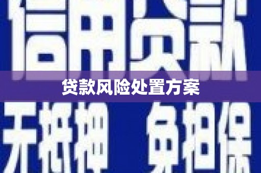 旗津贷款风险处置方案