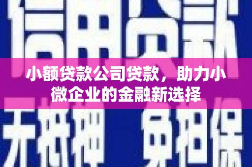 旗津小额贷款公司贷款，助力小微企业的金融新选择