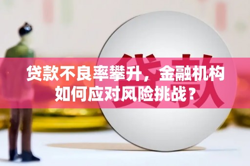 旗津贷款不良率攀升，金融机构如何应对风险挑战？