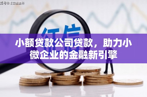 旗津小额贷款公司贷款，助力小微企业的金融新引擎