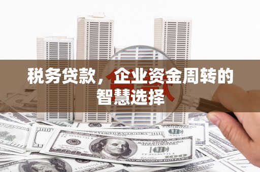 旗津税务贷款，企业资金周转的智慧选择