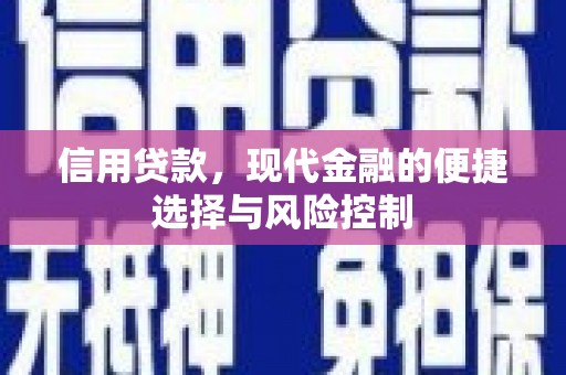 旗津信用贷款，现代金融的便捷选择与风险控制