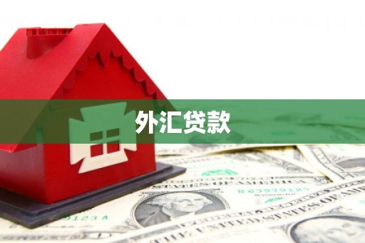 旗津外汇贷款