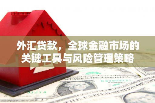 旗津外汇贷款，全球金融市场的关键工具与风险管理策略