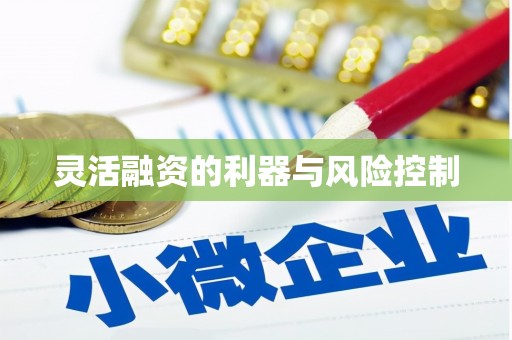 旗津灵活融资的利器与风险控制