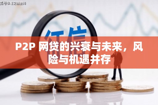 旗津P2P 网贷的兴衰与未来，风险与机遇并存
