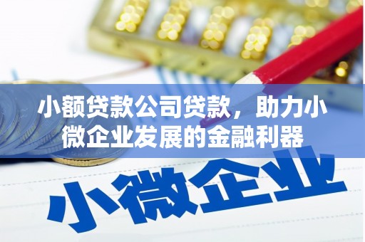 旗津小额贷款公司贷款，助力小微企业发展的金融利器