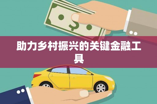 旗津助力乡村振兴的关键金融工具