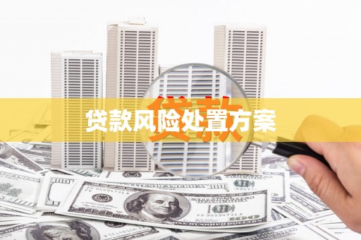 旗津贷款风险处置方案