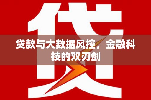 旗津贷款与大数据风控，金融科技的双刃剑