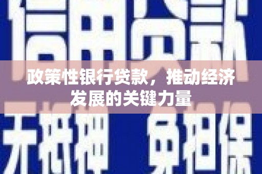 旗津政策性银行贷款，推动经济发展的关键力量