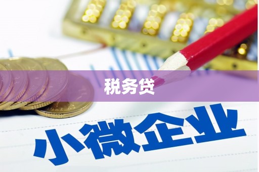 旗津税务贷