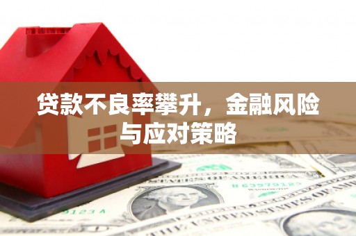旗津贷款不良率攀升，金融风险与应对策略