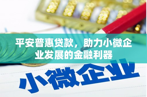 旗津平安普惠贷款，助力小微企业发展的金融利器