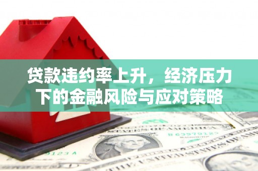 旗津贷款违约率上升，经济压力下的金融风险与应对策略
