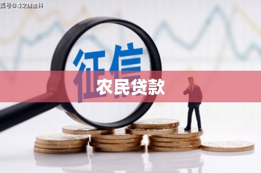 旗津农民贷款