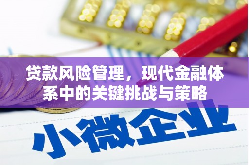 旗津贷款风险管理，现代金融体系中的关键挑战与策略