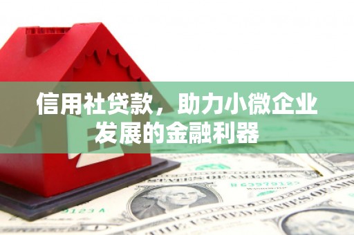 旗津信用社贷款，助力小微企业发展的金融利器