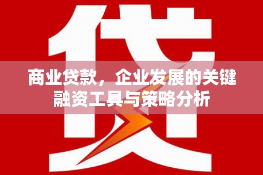 旗津商业贷款，企业发展的关键融资工具与策略分析