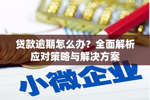 旗津贷款逾期怎么办？全面解析应对策略与解决方案
