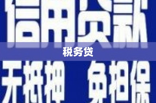 旗津税务贷