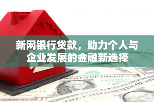 旗津新网银行贷款，助力个人与企业发展的金融新选择
