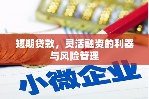 旗津短期贷款，灵活融资的利器与风险管理