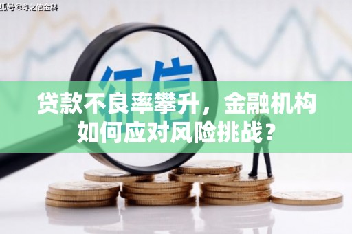 旗津贷款不良率攀升，金融机构如何应对风险挑战？
