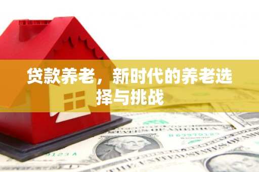 旗津贷款养老，新时代的养老选择与挑战