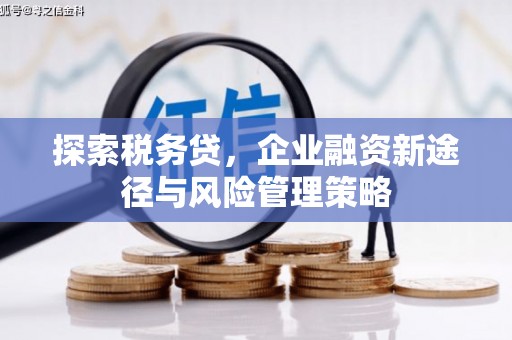 旗津探索税务贷，企业融资新途径与风险管理策略