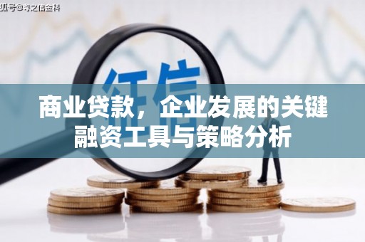旗津商业贷款，企业发展的关键融资工具与策略分析