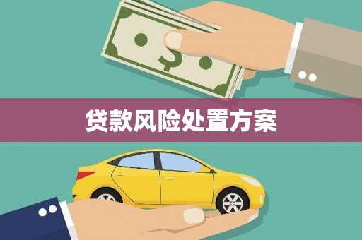 旗津贷款风险处置方案