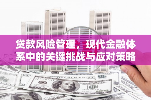 旗津贷款风险管理，现代金融体系中的关键挑战与应对策略