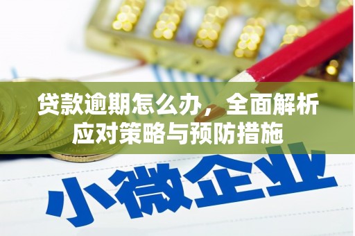 旗津贷款逾期怎么办，全面解析应对策略与预防措施