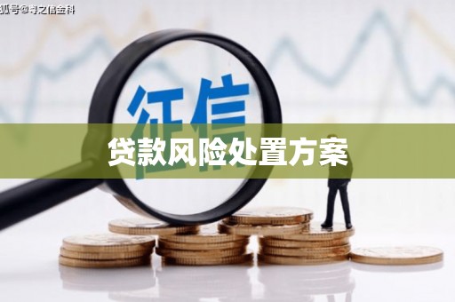 旗津贷款风险处置方案