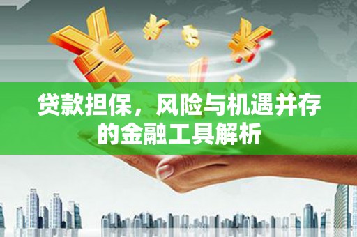 旗津贷款担保，风险与机遇并存的金融工具解析